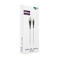 Кабель CBR CB 501 Silver, USB to Lightning, 2,1 А, 1 м, цветная коробка в Ставрополе, доставка, гарантия.